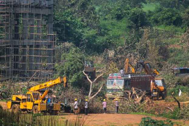Aarey protests: Many are complaining to stop cutting of trees, section 144 imposed in Aarey colony