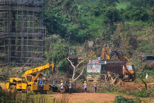Aarey forest