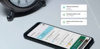 Google Assistant snapshot feature