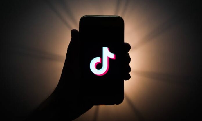 TikTok may back soon in India