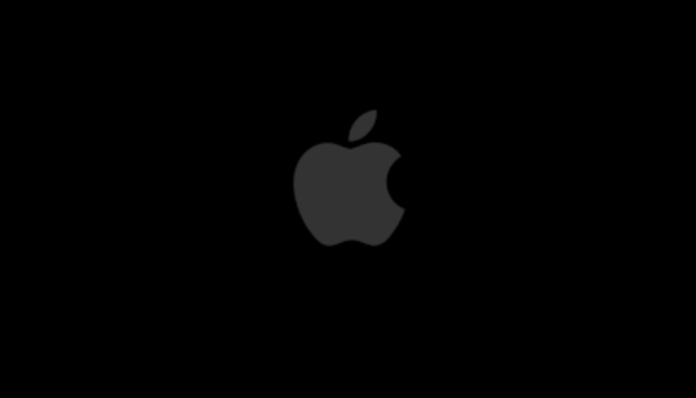 apple MacBook Pro charger