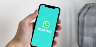 WhatsApp Mute Audio