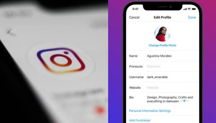 Instagram Pronouns