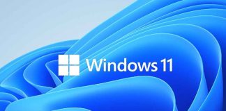 Windows 11