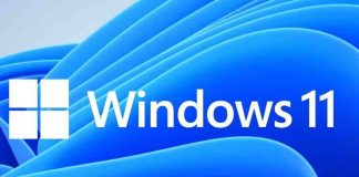 Windows 11