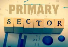 Primary sector