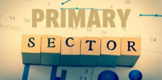 Primary sector