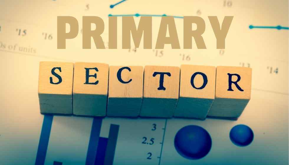Primary Sector of the Economy and its Examples