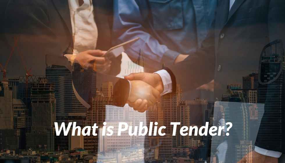 What is Public Tender?