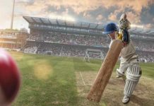 Cricket So Popular