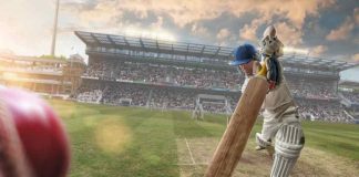 Cricket So Popular