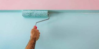wall paints