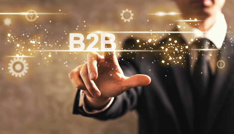 Key Points in a B2B Environment Model