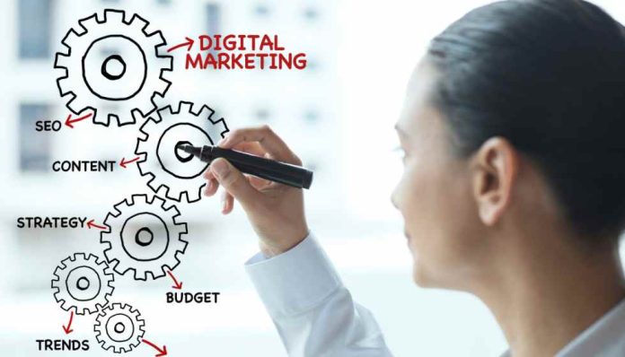 Digital Marketing Expert
