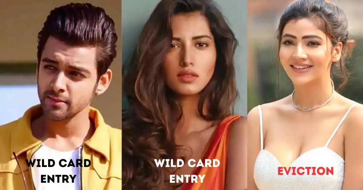 Who are the Big Boss 17 Wild Card Entry Contestants?