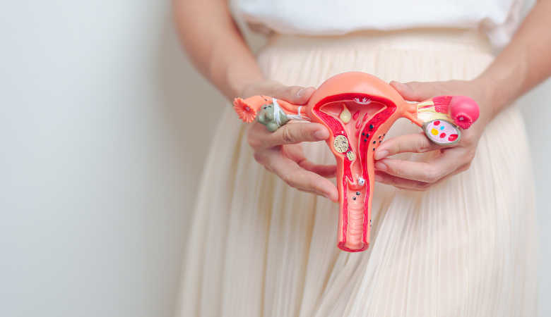 Uterine Fibroids Causes, Symptoms and How is it Treated?